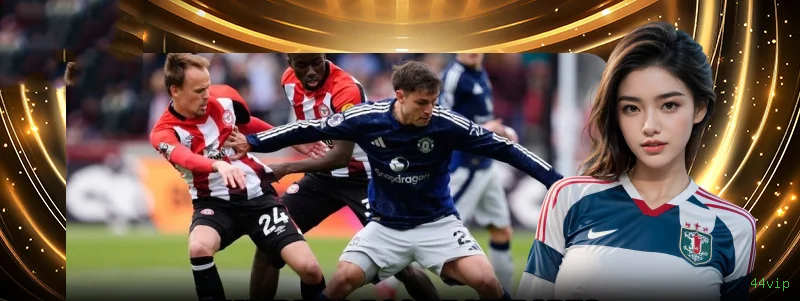 Sistema de Login Seguro 44vip - Interface Premium